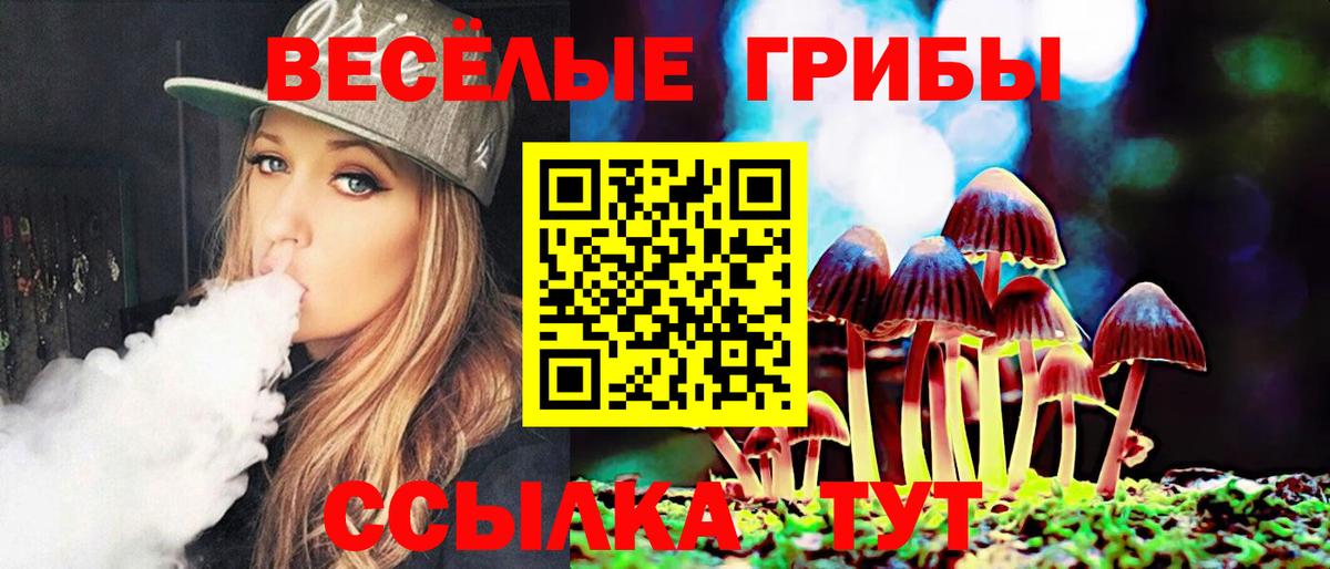 Псилоцибиновые грибы Cubensis  Вход с VPN  где продают наркотики  Родники 