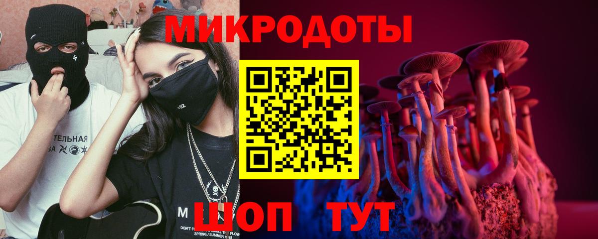 Галлюциногенные грибы GOLDEN TEACHER Родники